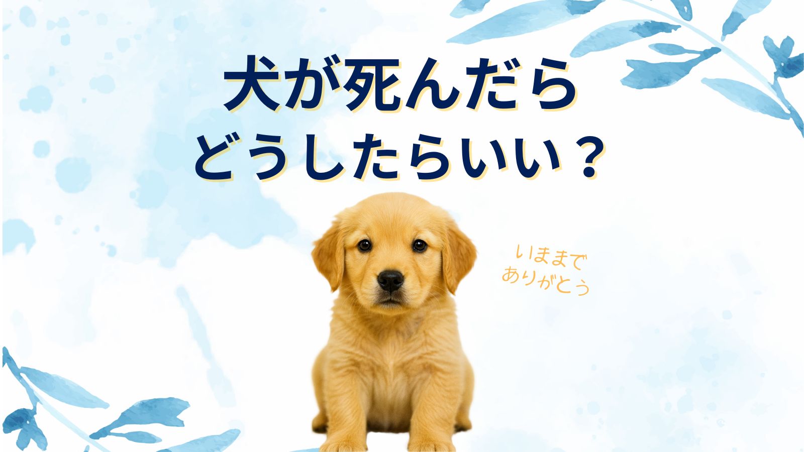 【犬が死んだらどうする？】埋めるのはあり？愛犬が死んだらすること