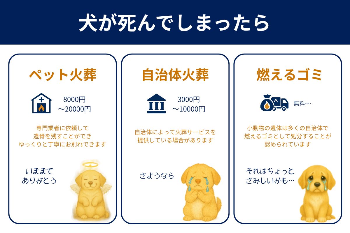 犬が死んだときの３つの供養方法
