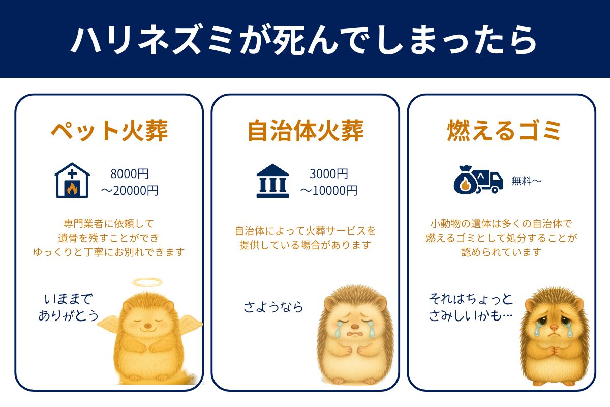 ハリネズミが死んだらできる3つの火葬方法