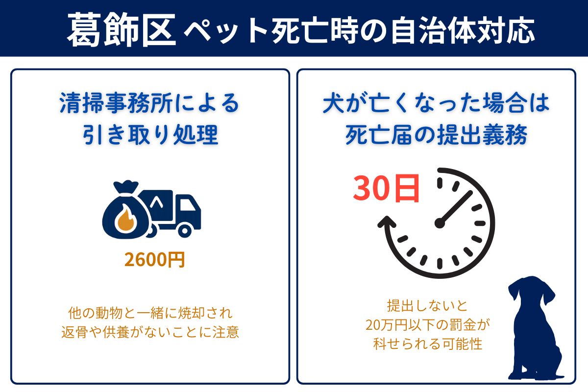 葛飾区でペットが死亡した時の区役所対応