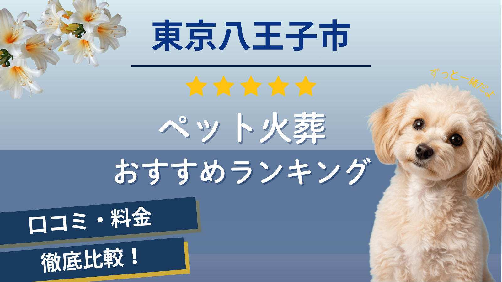 【ペット火葬】東京八王子市の口コミ評判ランキング5選!猫や犬を火葬できるおすすめ葬儀場