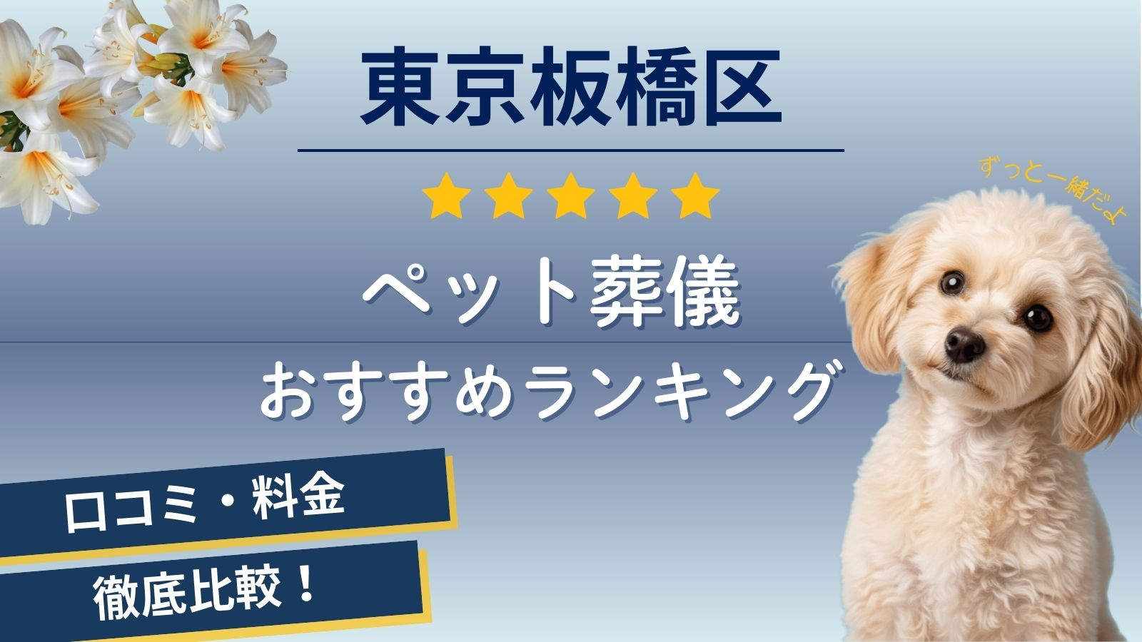 【ペット火葬】板橋区の口コミランキング5選！安い葬儀社比較や予約が簡単な葬儀場