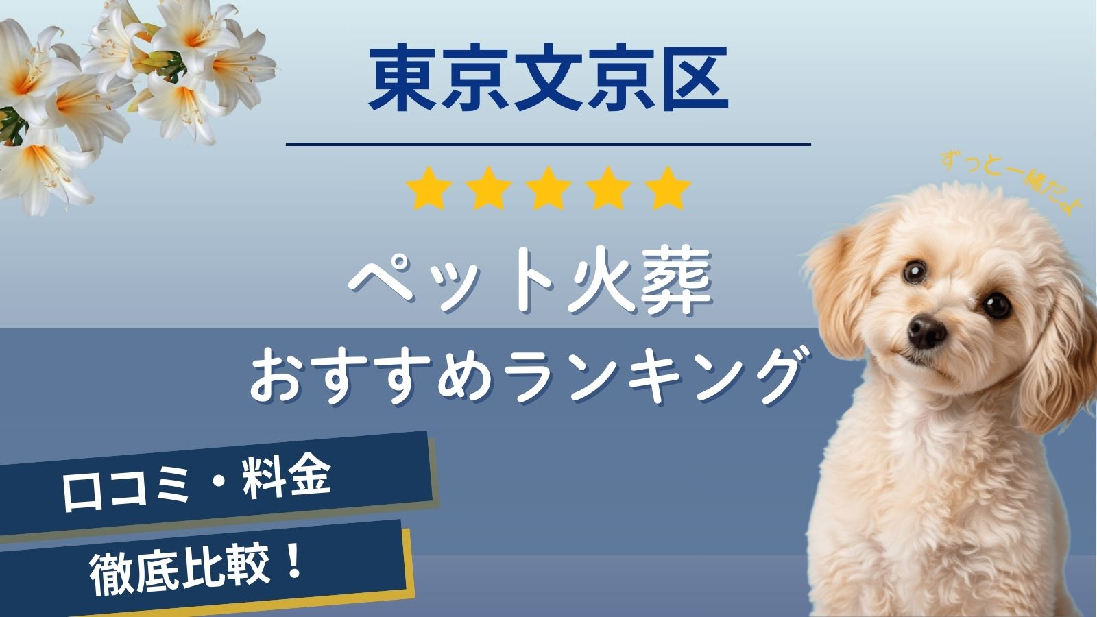 【ペット火葬】文京区の5社口コミ評判ランキング！個別で火葬できる葬儀場や納骨できる霊園はある？
