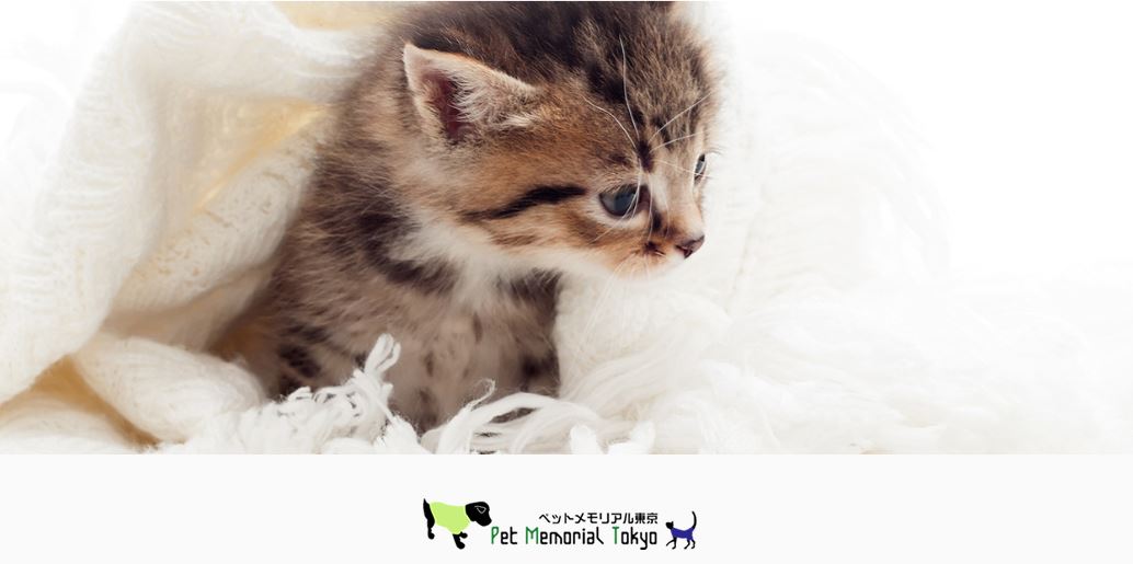 東京都葛飾区近郊のペット火葬おすすめ４位のペットメモリアル東京
