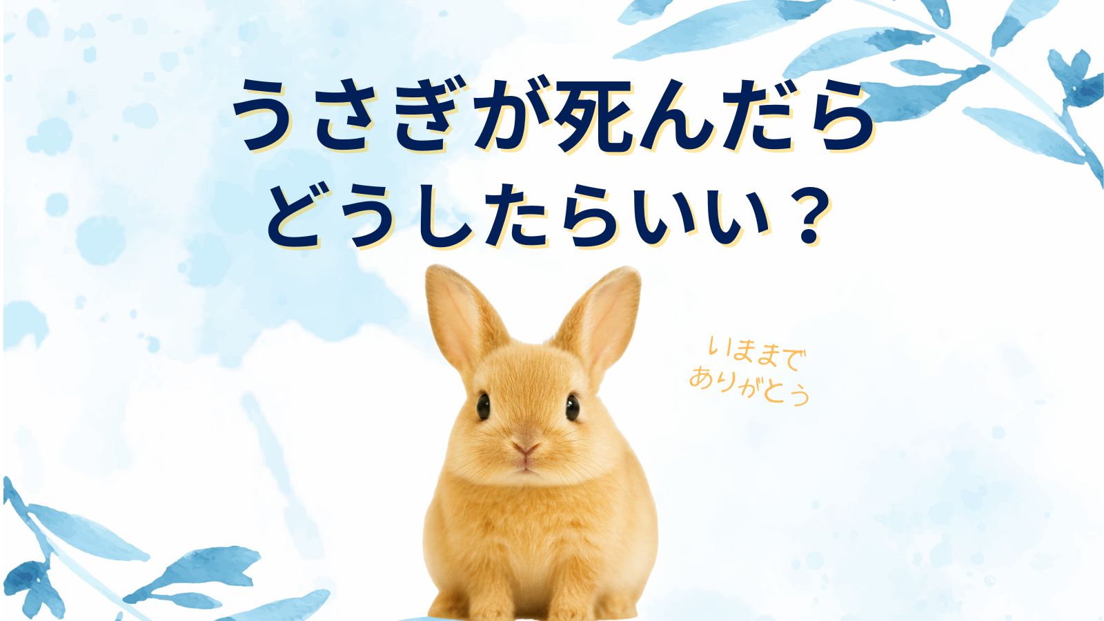 【うさぎが死んだら】燃えるゴミとして処理する注意点。埋めるか火葬かどれがいい？