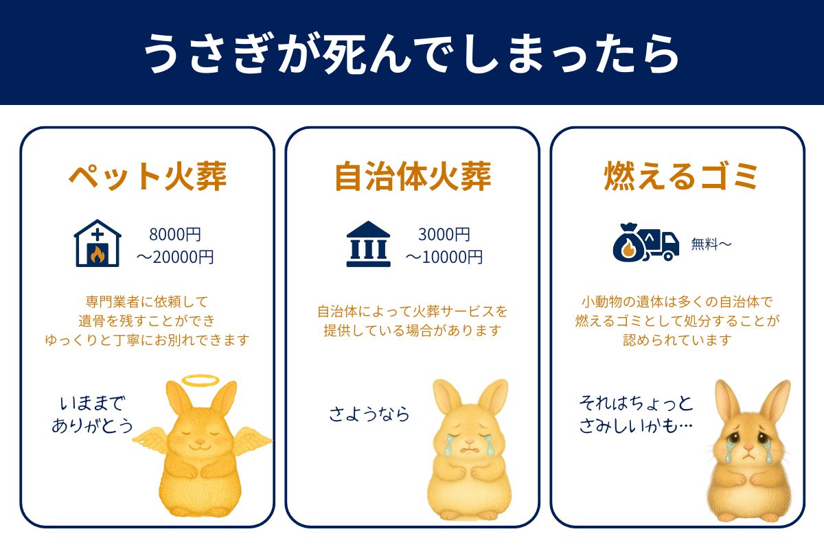 うさぎが死んだときの３つの供養方法