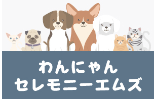 明石市ペット火葬ランキング