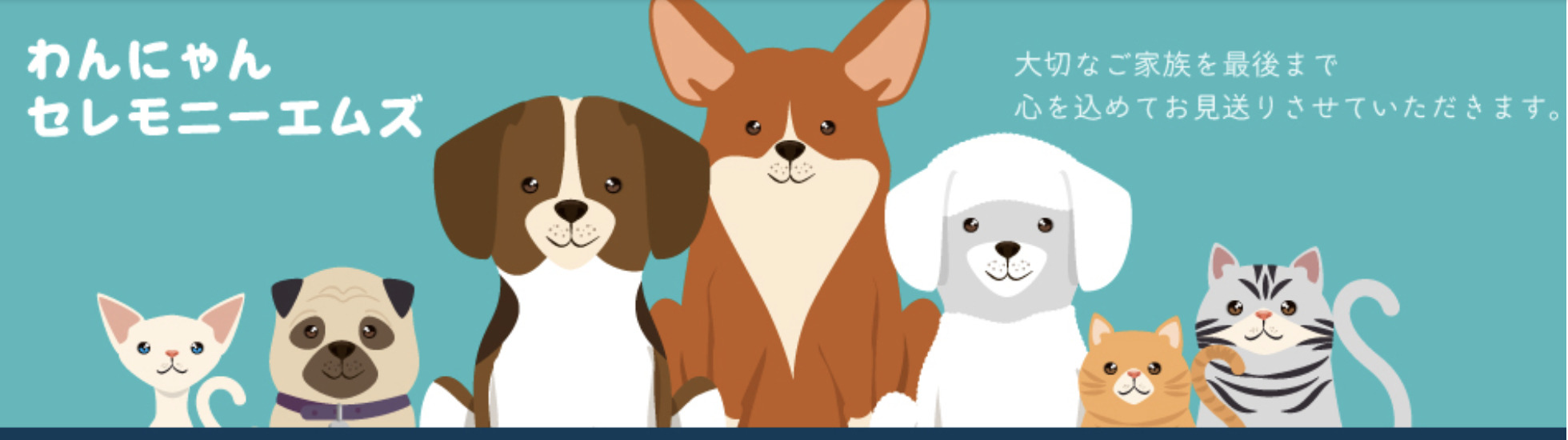 明石ペット火葬ランキング3位のわんにゃんセレモニーエムズ