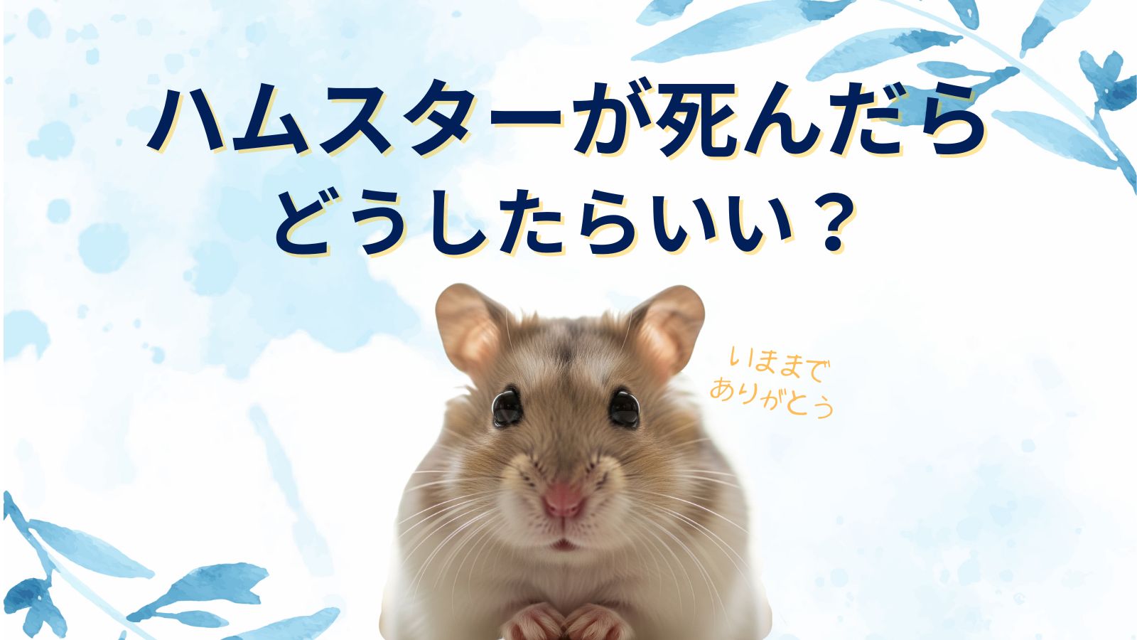 ハムスターが死んだらどうしたらいい？アパートでの処理法や土に埋める・燃えるゴミはあり？