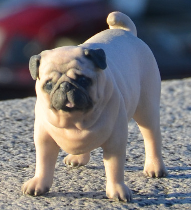 3Dペットフィギュア