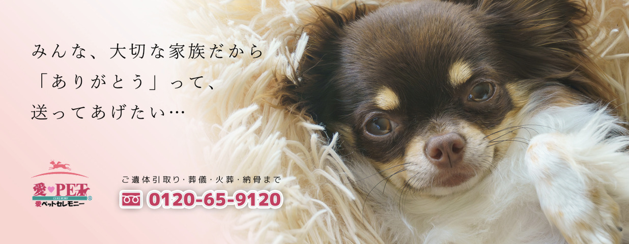 ペット火葬高知市の口コミ評判ランキング第2位の愛ペットセレモニー