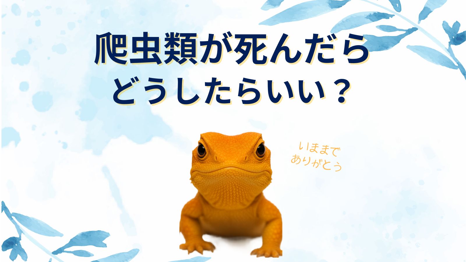 【爬虫類(亀・トカゲ)が死んだら】燃えるゴミでいいの？死亡確認の見分け方