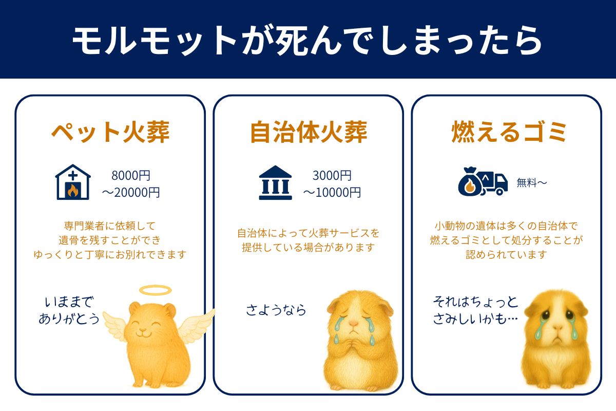 モルモットを供養する３つの方法