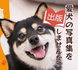 うちの子写真集