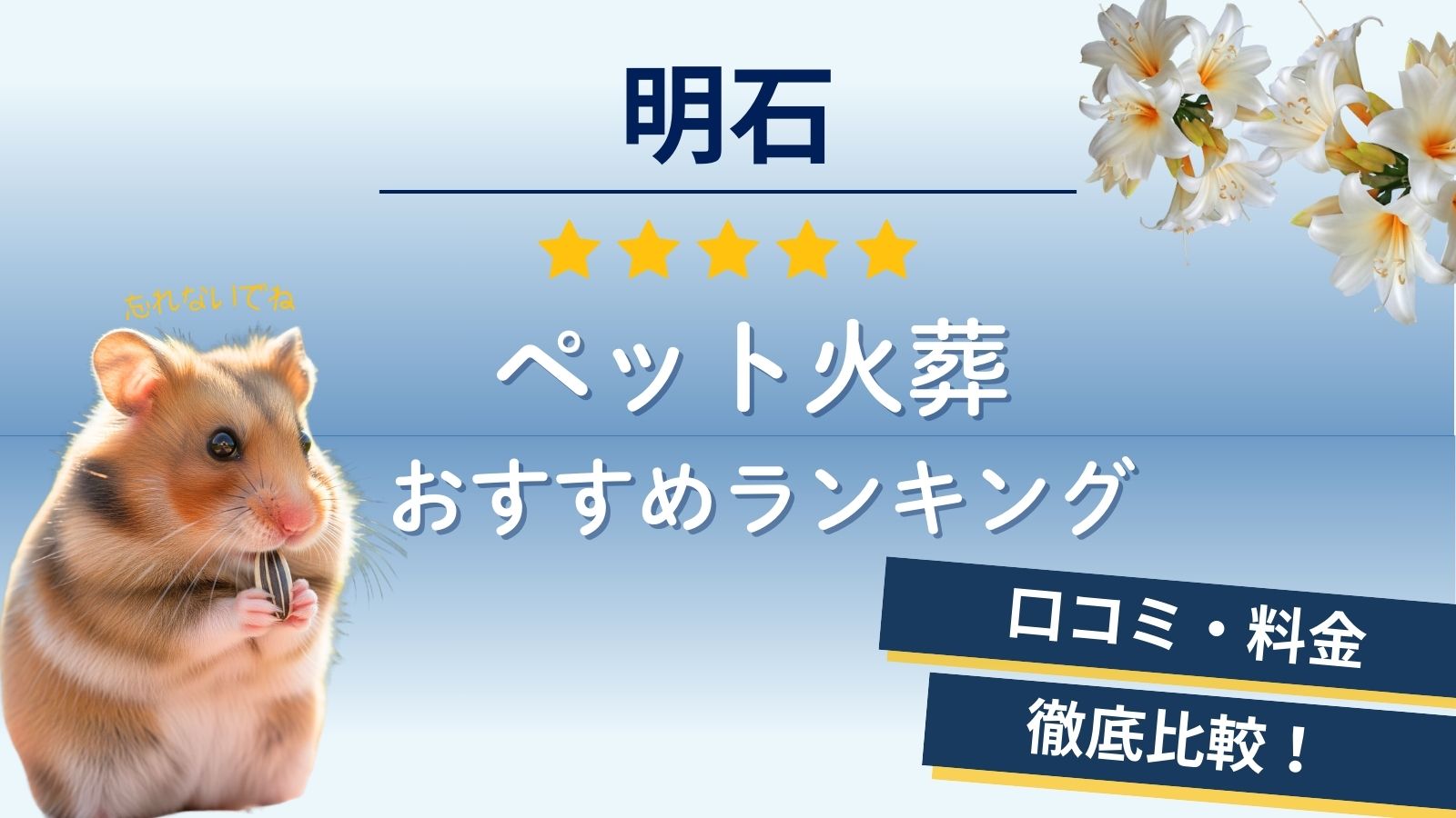 【ペット火葬】明石市の5社口コミ評判比較！料金が安いおすすめ葬儀社は？