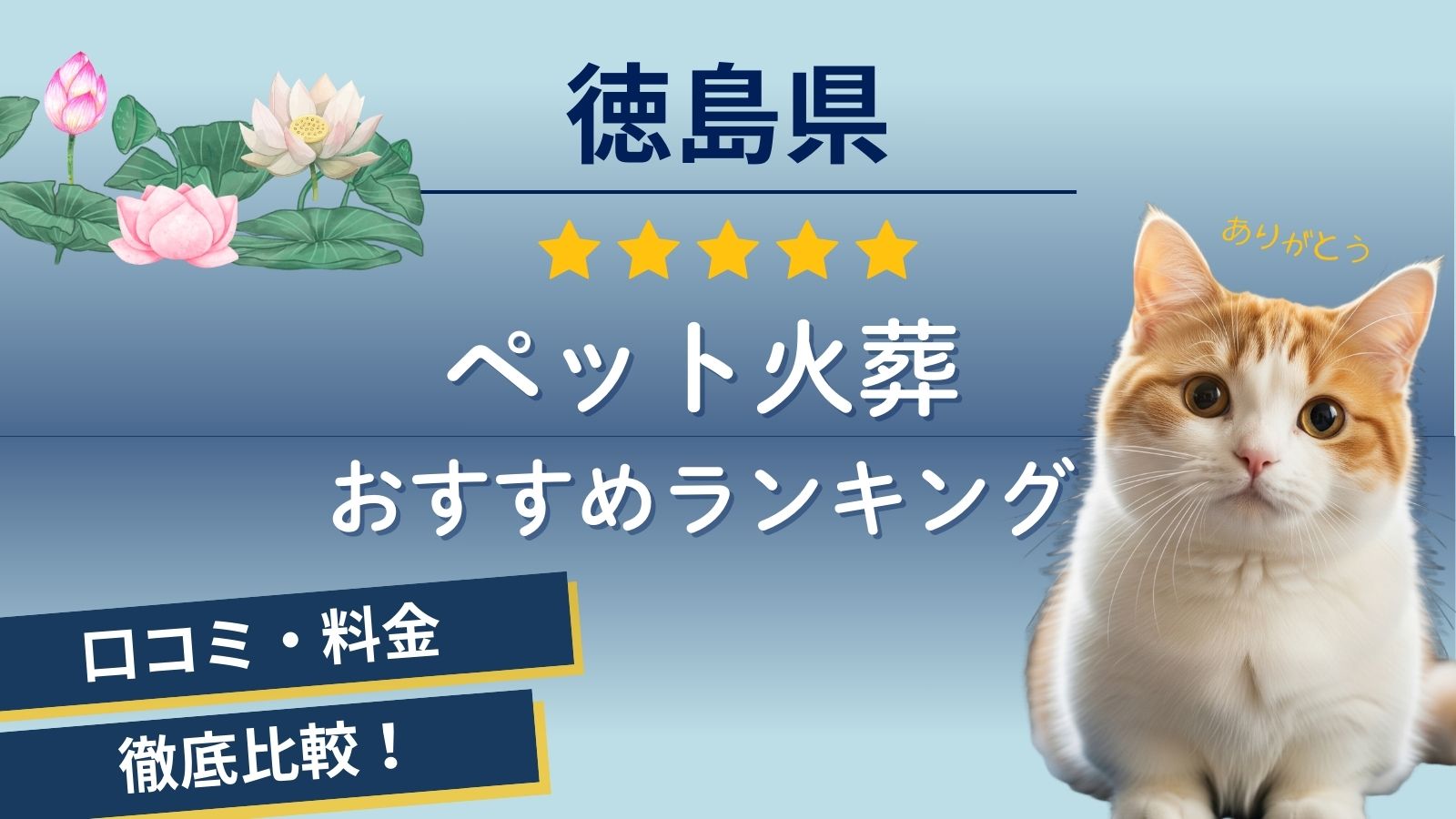 【徳島】ペット火葬の口コミ評判ランキング選！鳴門市・美馬市対応の徳島県内の葬儀社比較