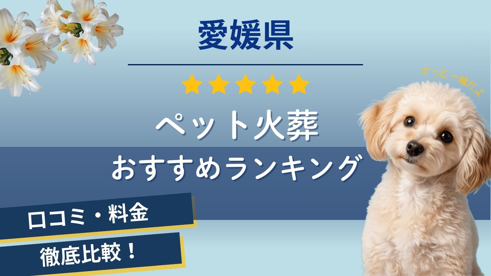 【ペット火葬】愛媛松山市周辺のおすすめランキング5選！口コミ評判や料金が安い葬儀社は？