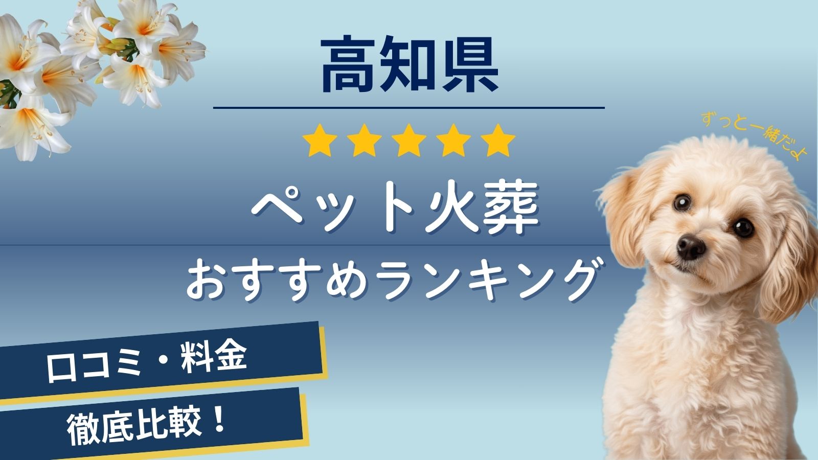 【ペット火葬】高知市の口コミ評判ランキング4選！火葬料金や評判を徹底比較！