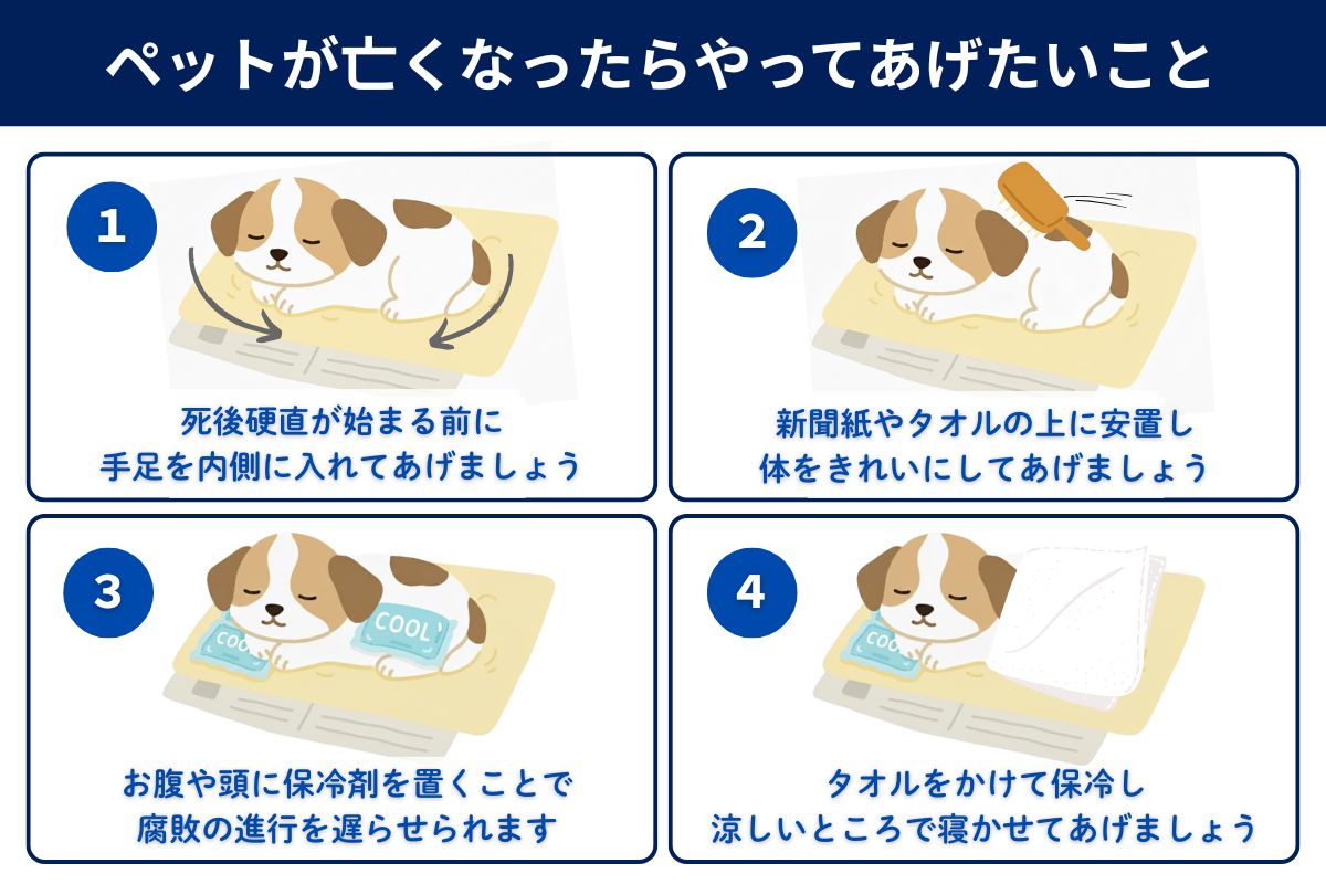 ペットが亡くなったらまずやること