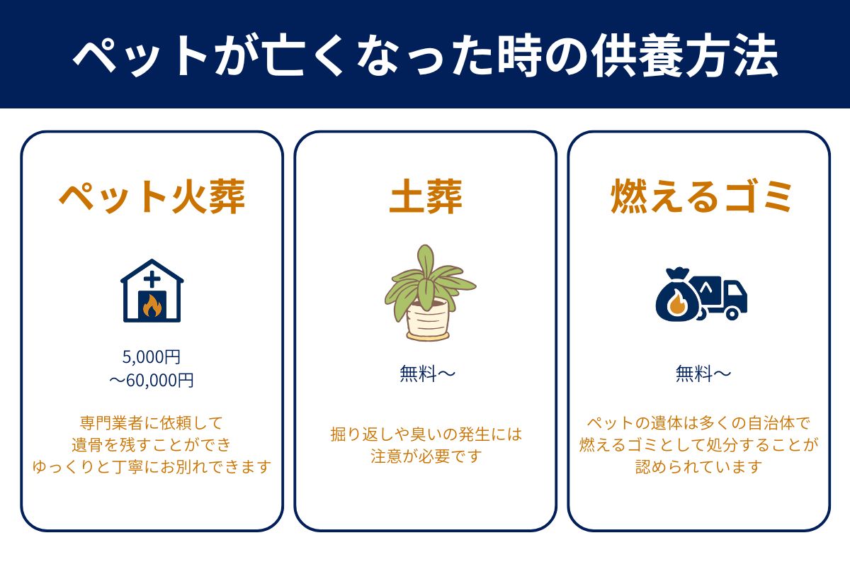 ペットが亡くなった時の3つの供養方法