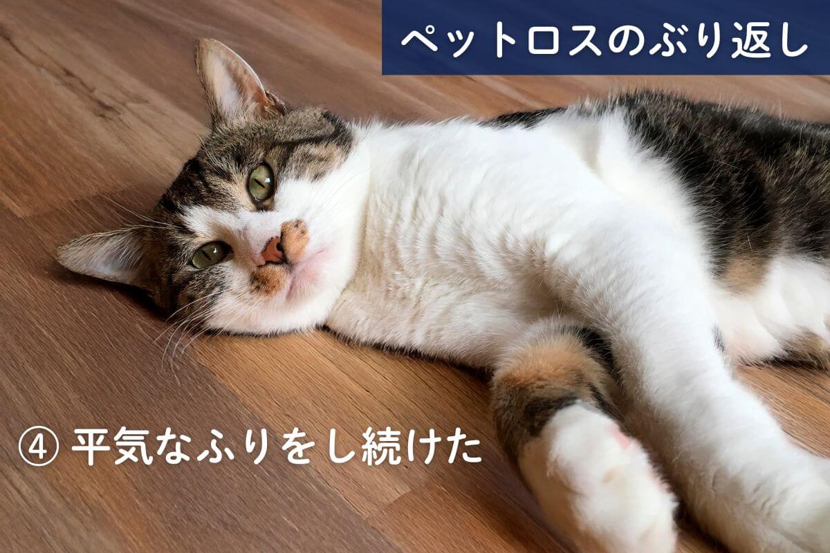 ペットロスがぶり返すタイミング④感情の抑制