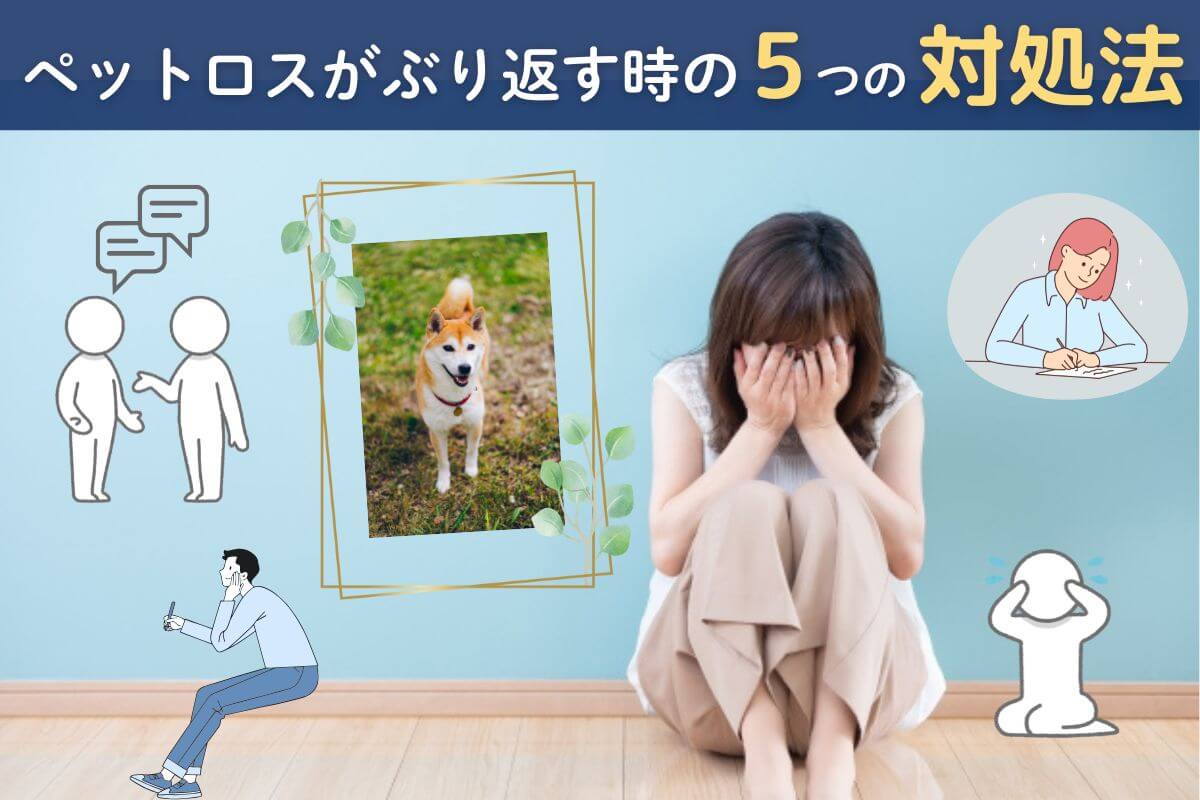 ペットロスがぶり返す時の5つの対処法