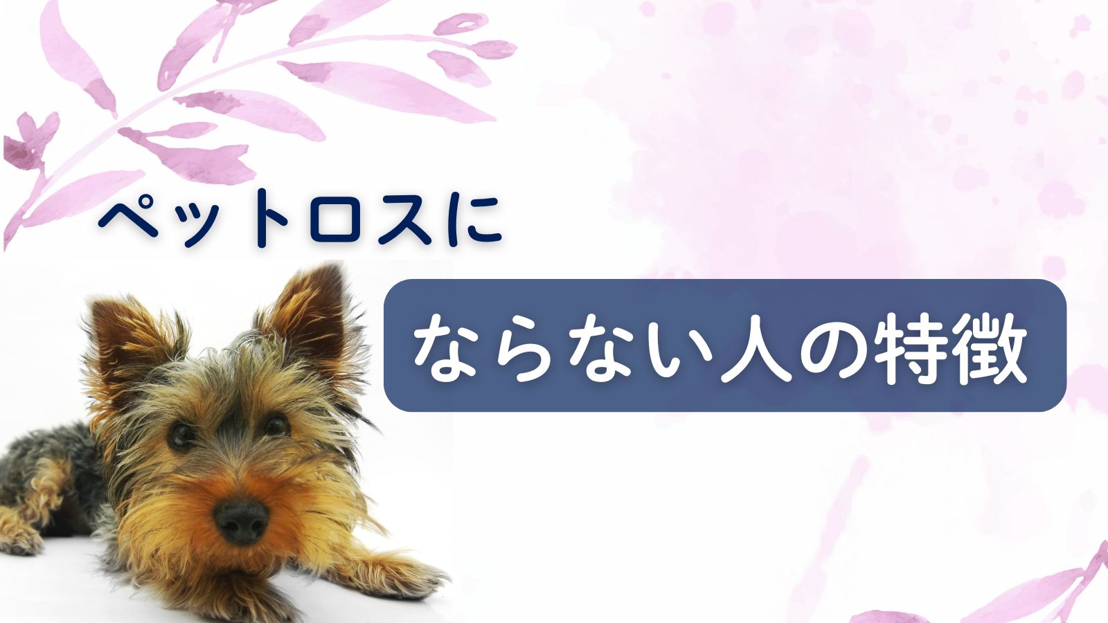 ペットロスにならないのは冷たい？ならない人・なりやすい人の特徴