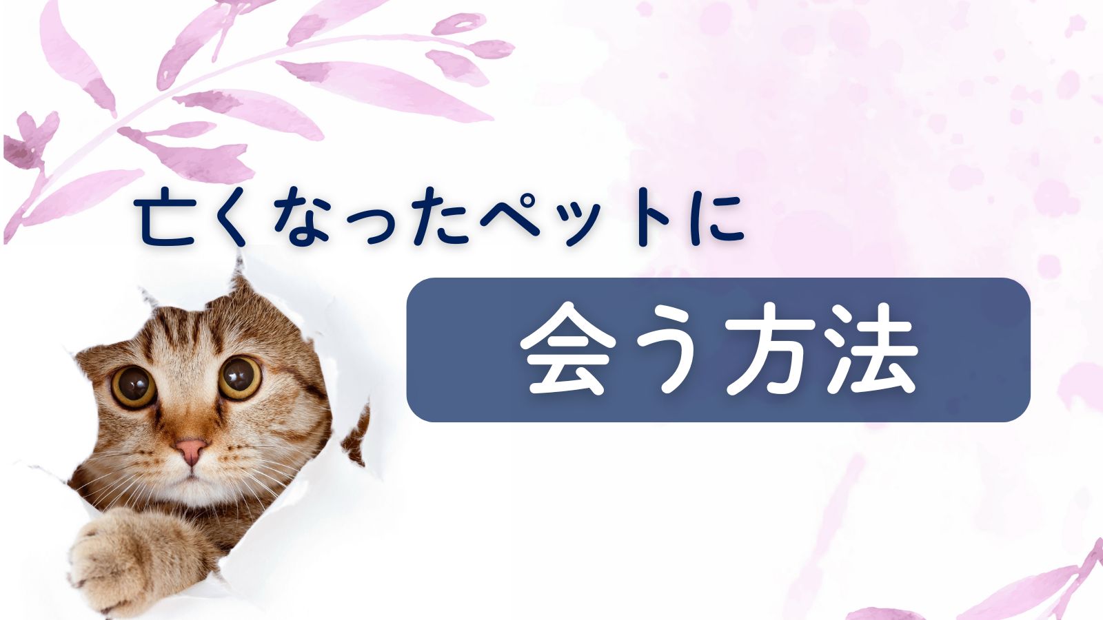 【ペットロス】亡くなった猫・犬に会いたい。死んだペットに会う方法は？