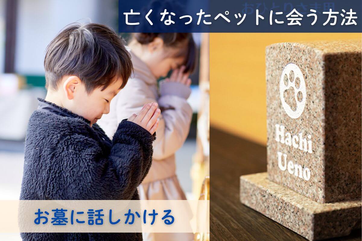 亡くなった愛犬に会う方法②お墓に話しかける