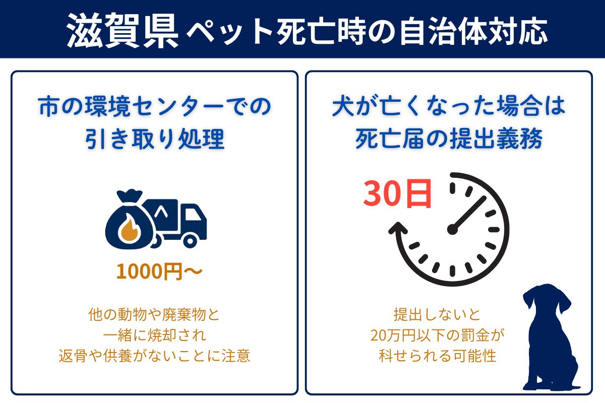 滋賀県でペットが亡くなった時の自治体対応
