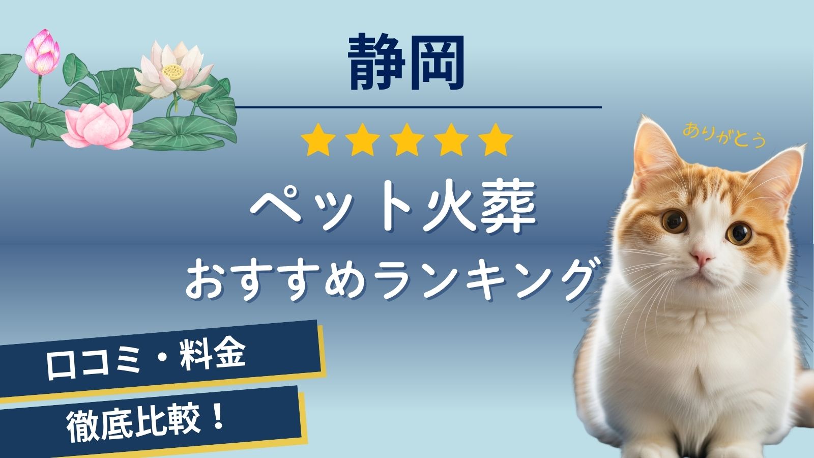 【ペット火葬】静岡市の口コミランキング6選!藤枝市・焼津・島田市にも出張可能な葬儀社の火葬料金や評判
