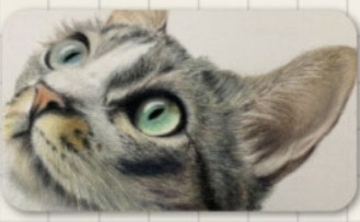 猫のリアルな絵画