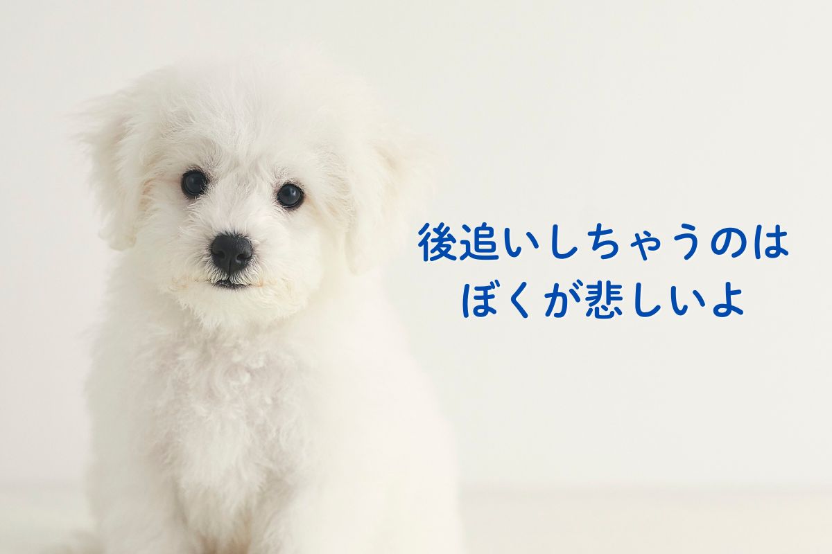 後追いしちゃうのはぼくが悲しいよ