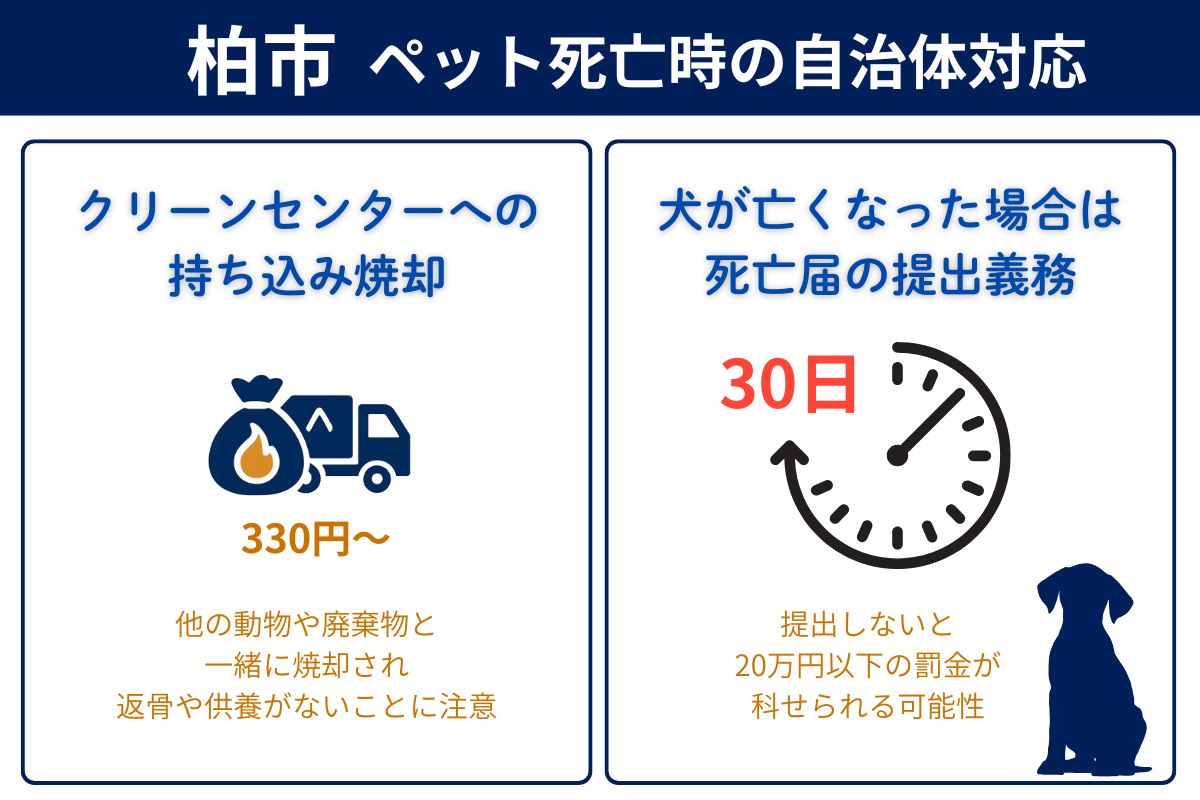 柏市でペットが亡くなった時の市役所対応