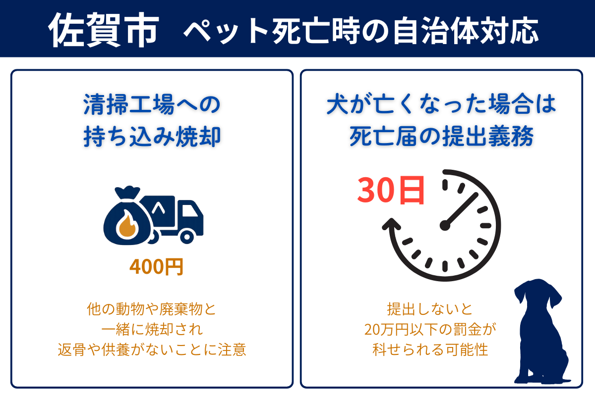 佐賀市でペット死亡時の市役所対応