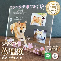 フォトメモリアルプレート