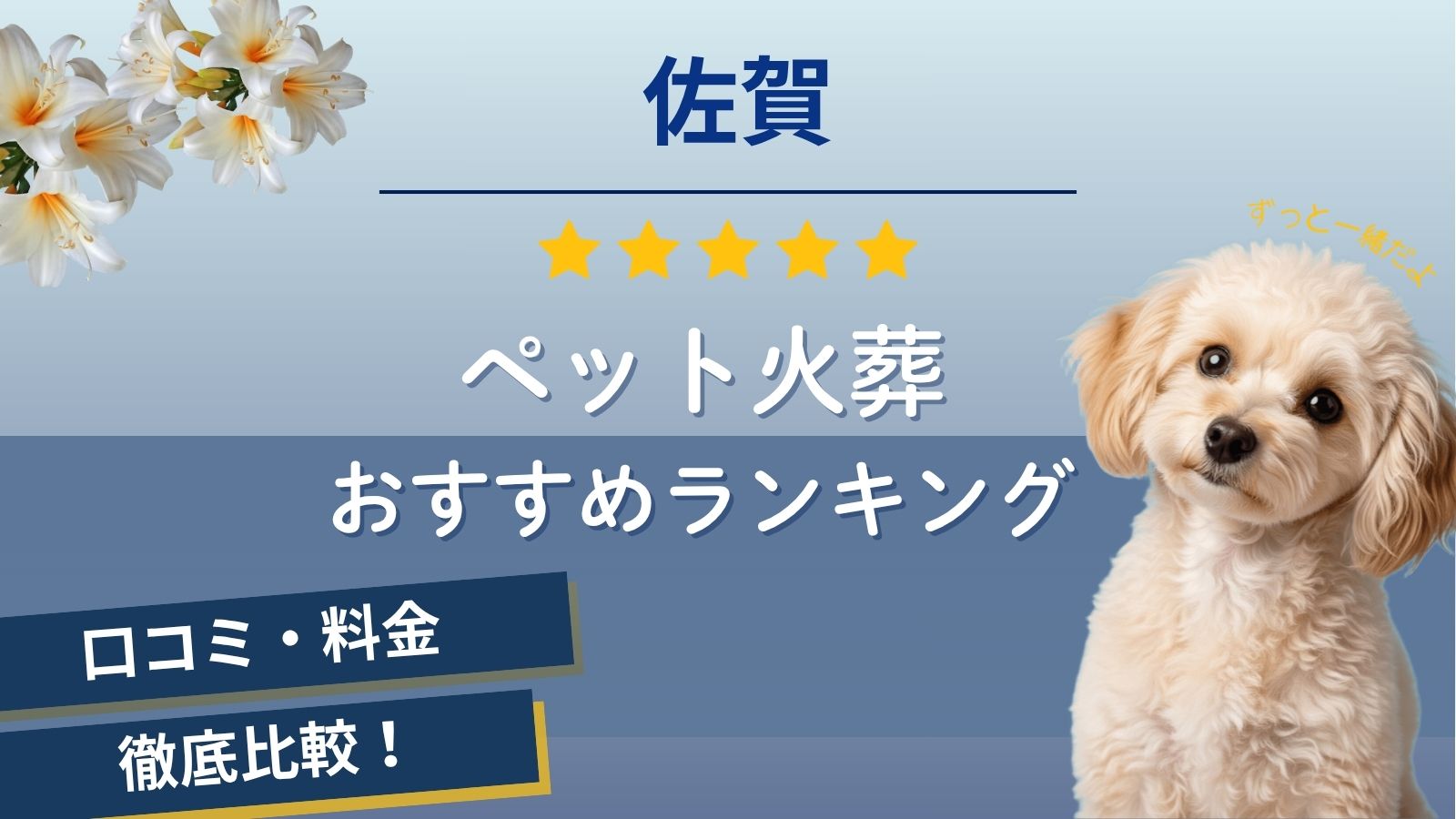 ペット火葬佐賀市の6社口コミ評判ランキング！佐賀県全域に出張可能なおすすめは？