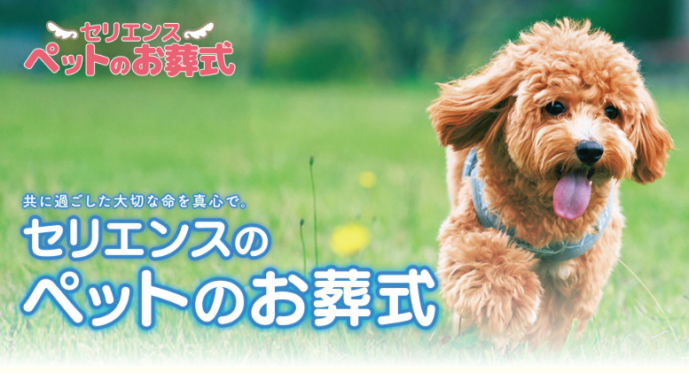 佐賀市のおすすめペット火葬業者口コミランキング6位のセリエンス ペットのお葬式
