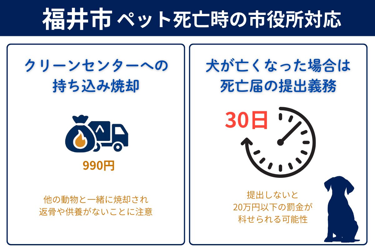 福井市役所のペット死亡時の対応