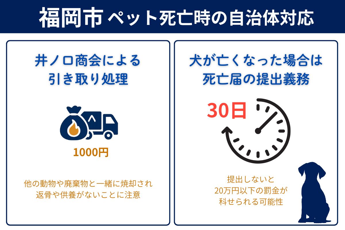 福岡市でペットが亡くなった時の市役所対応