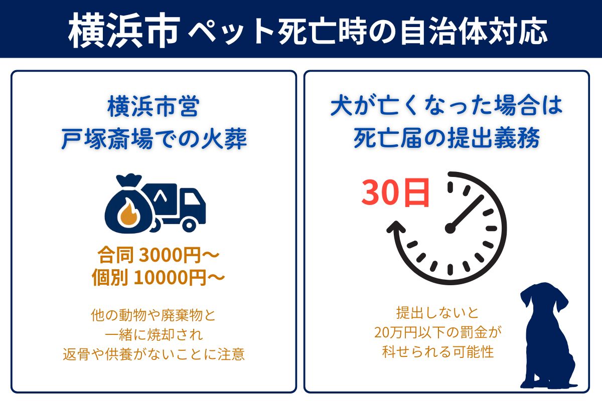 横浜市でペットが亡くなった時の市役所対応