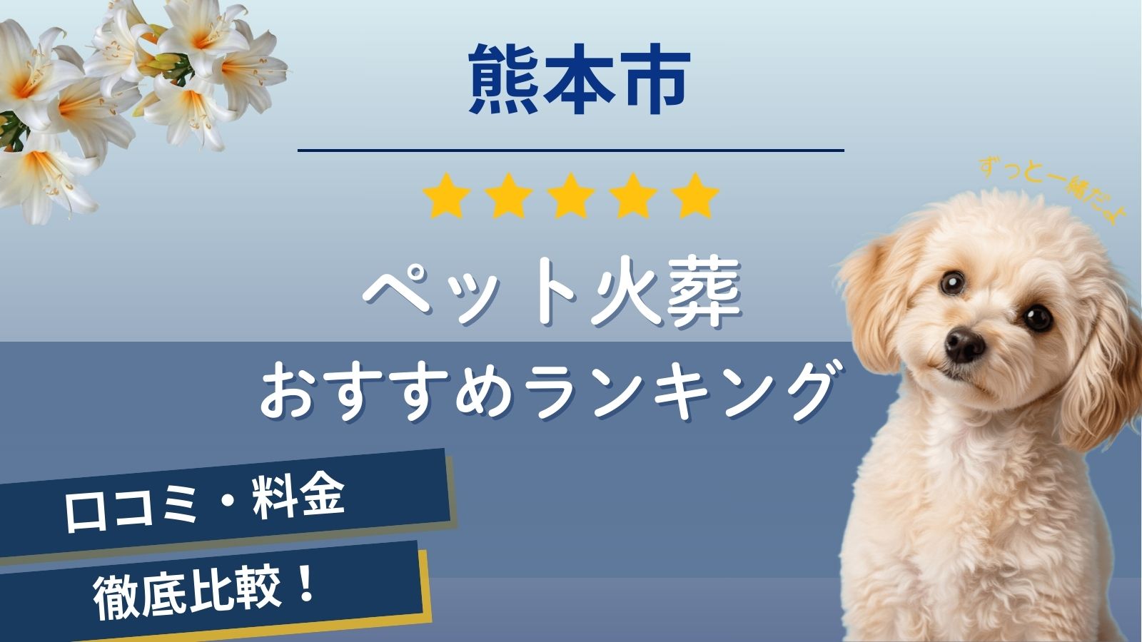 【ペット火葬】熊本市周辺で高評価な6社口コミランキング！持ち込みできるペット霊園や料金が安いのは？
