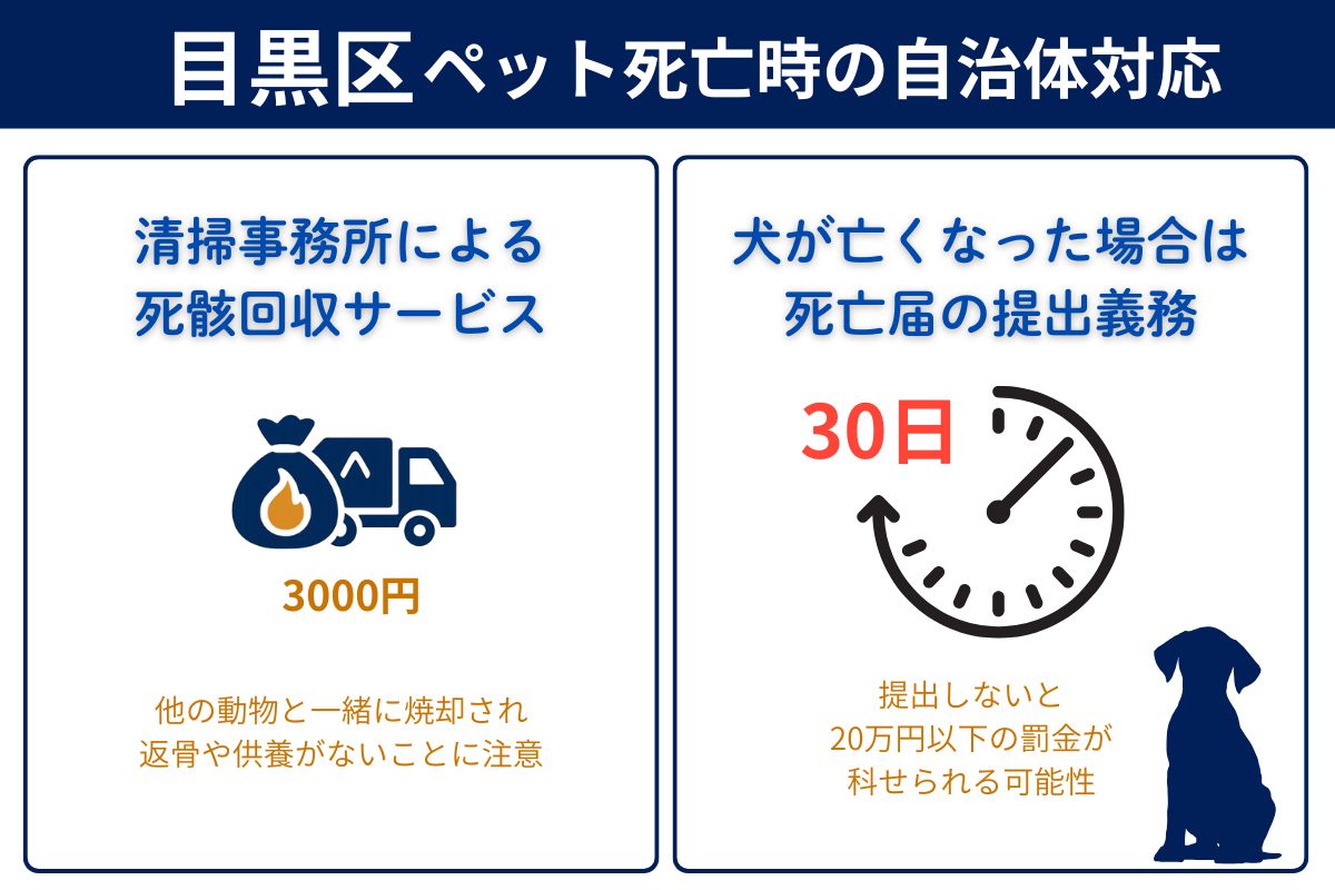 目黒区の動物市外回収サービスとペット死亡時の区役所での手続き