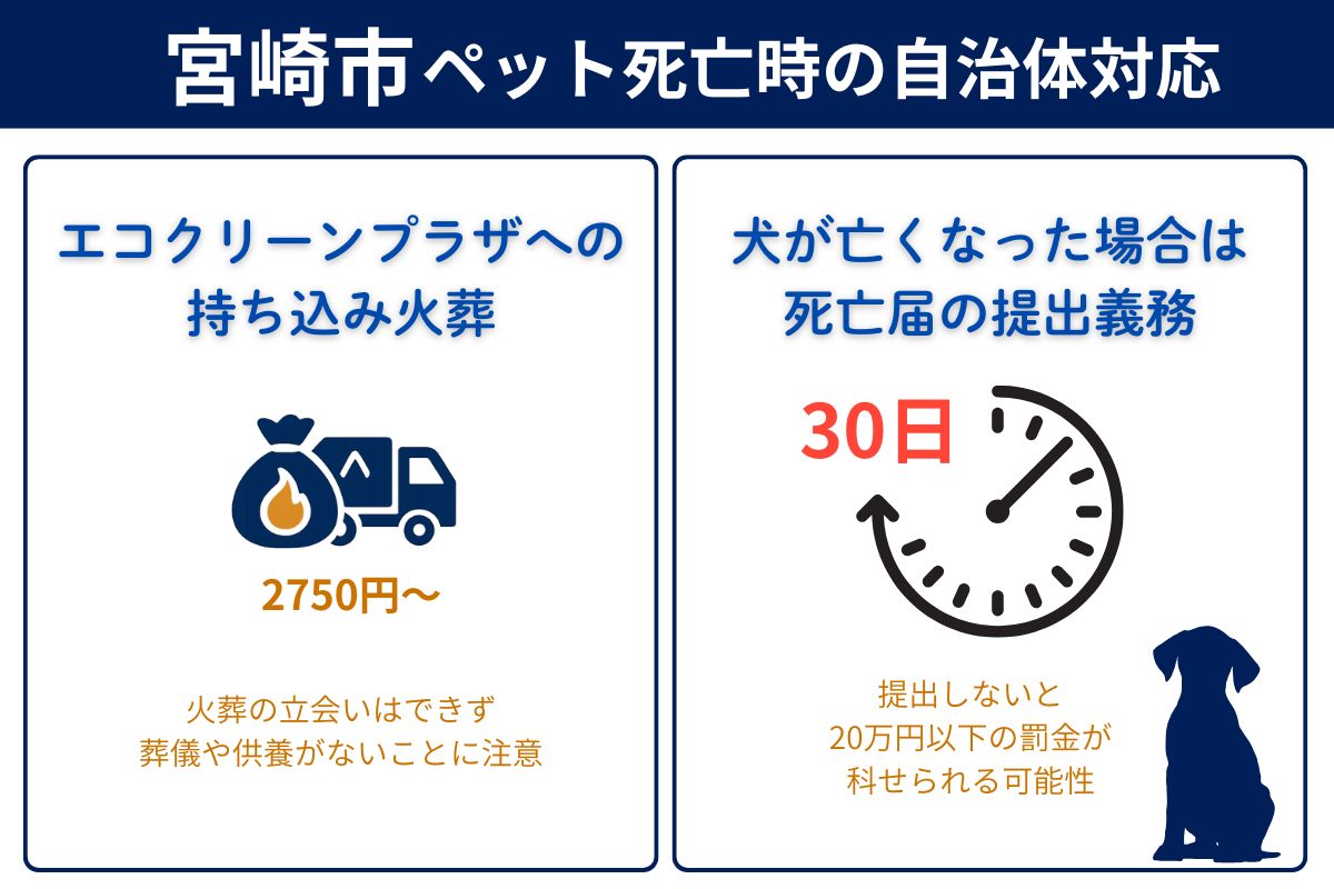 宮崎市でペットが亡くなった時の市役所対応