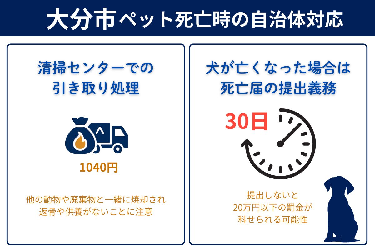大分市でペットが亡くなった時の市役所対応